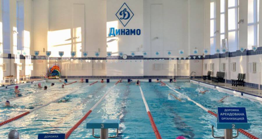 Динамо бассейн